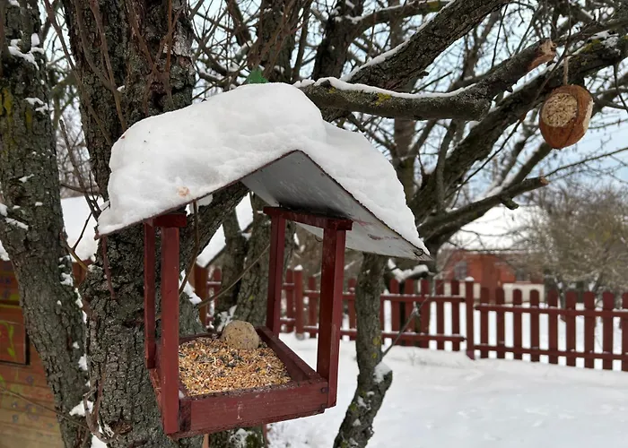 Oliver's House דירה *