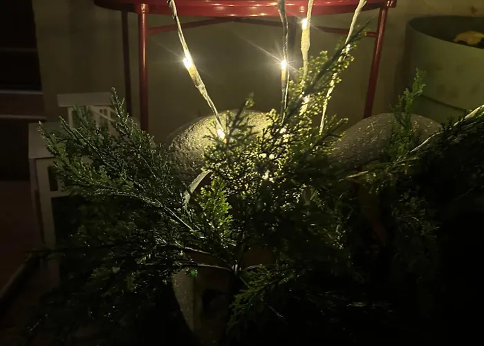 Oliver's House * Budaörs